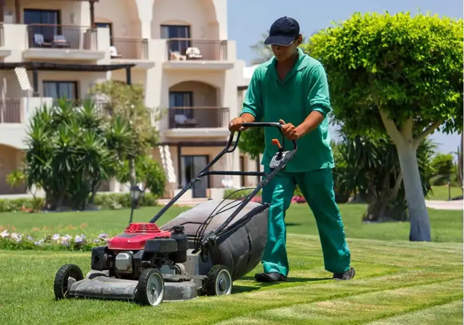 landscaping websites