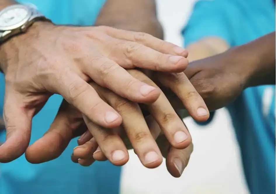 non-profit 501c websites